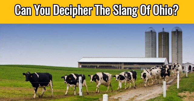Can You Decipher The Slang Of Ohio?