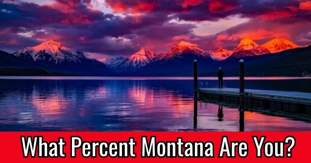 What Percent Montana Are You?