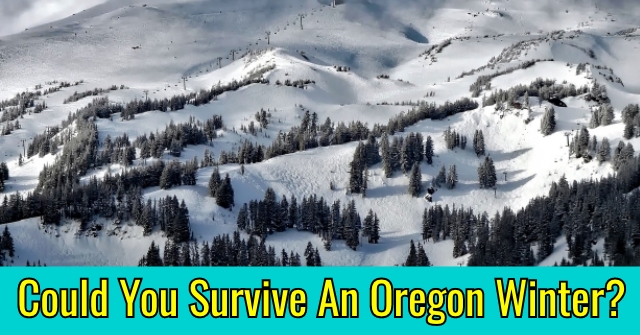 Could You Survive An Oregon Winter?