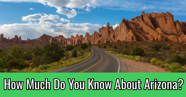 How Much Do You Know About Arizona?