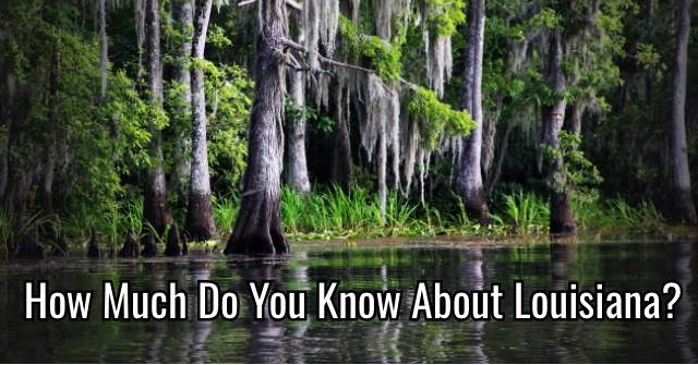 How Much Do You Know About Louisiana? | All About States