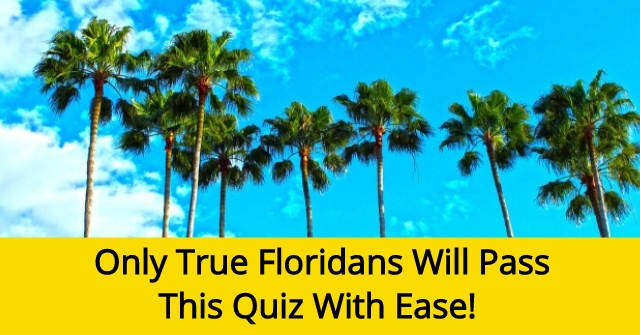 Only True Floridans Will Pass This Quiz With Ease!