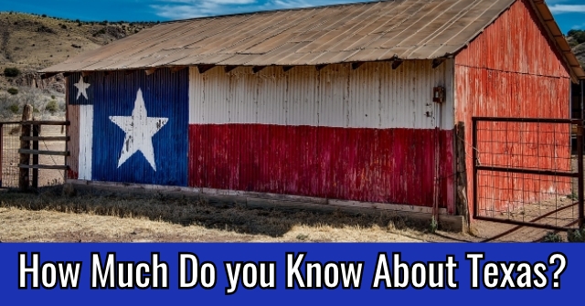 How Much Do you Know About Texas?