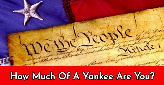 How Much Of A Yankee Are You?