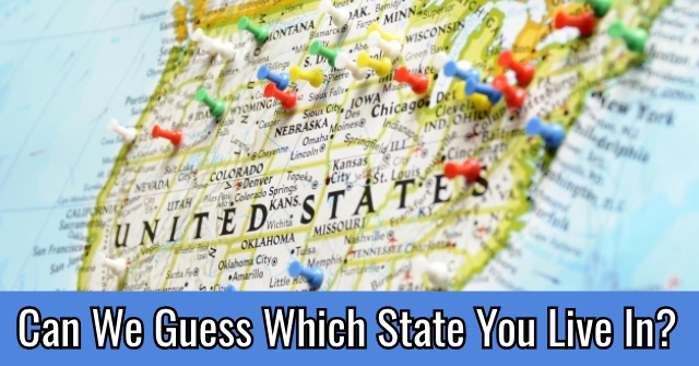 Hverdage forbi Klassificer Can We Guess Which State You Live In? | All About States