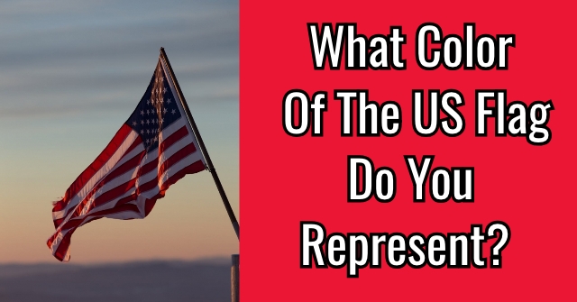 What Color Of The US Flag Do You Represent?