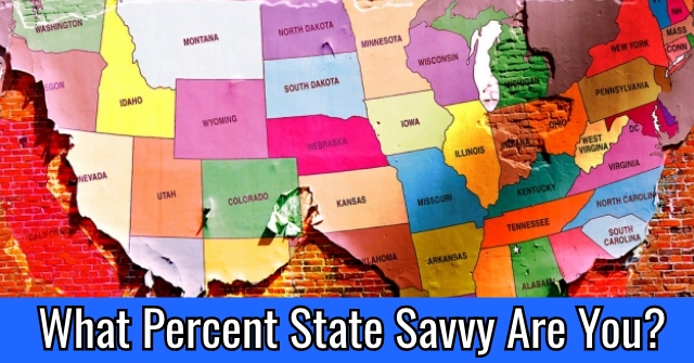 What Percent State Savvy Are You?