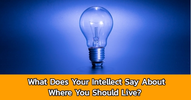 What Does Your Intellect Say About Where You Should Live?